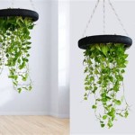 Artificial Money Plant Decoration Ideas For Home