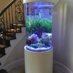 How To Make Fish Tank Decorations At Home